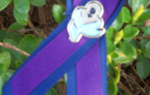 Barb's Ribbons of Hope